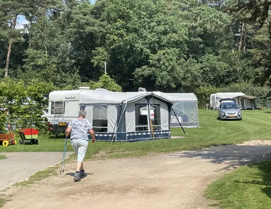 Beyerland Silver Sport 390/D
